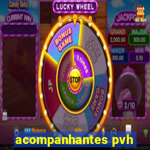 acompanhantes pvh